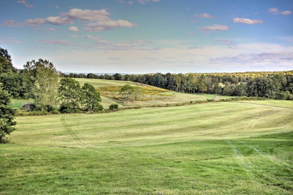 Rural Farmhouse Cabin on 150 Private Wooded Acres!